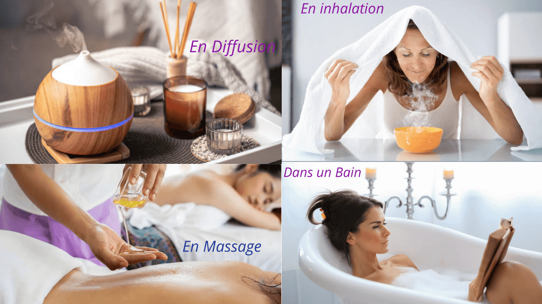 L’ Aromathérapie maison : soulager stress, peau, digestion et tellement plus avec les huiles
