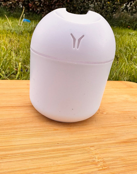 Bye-Bye Allergies Votre alliée contre les allergies printanières