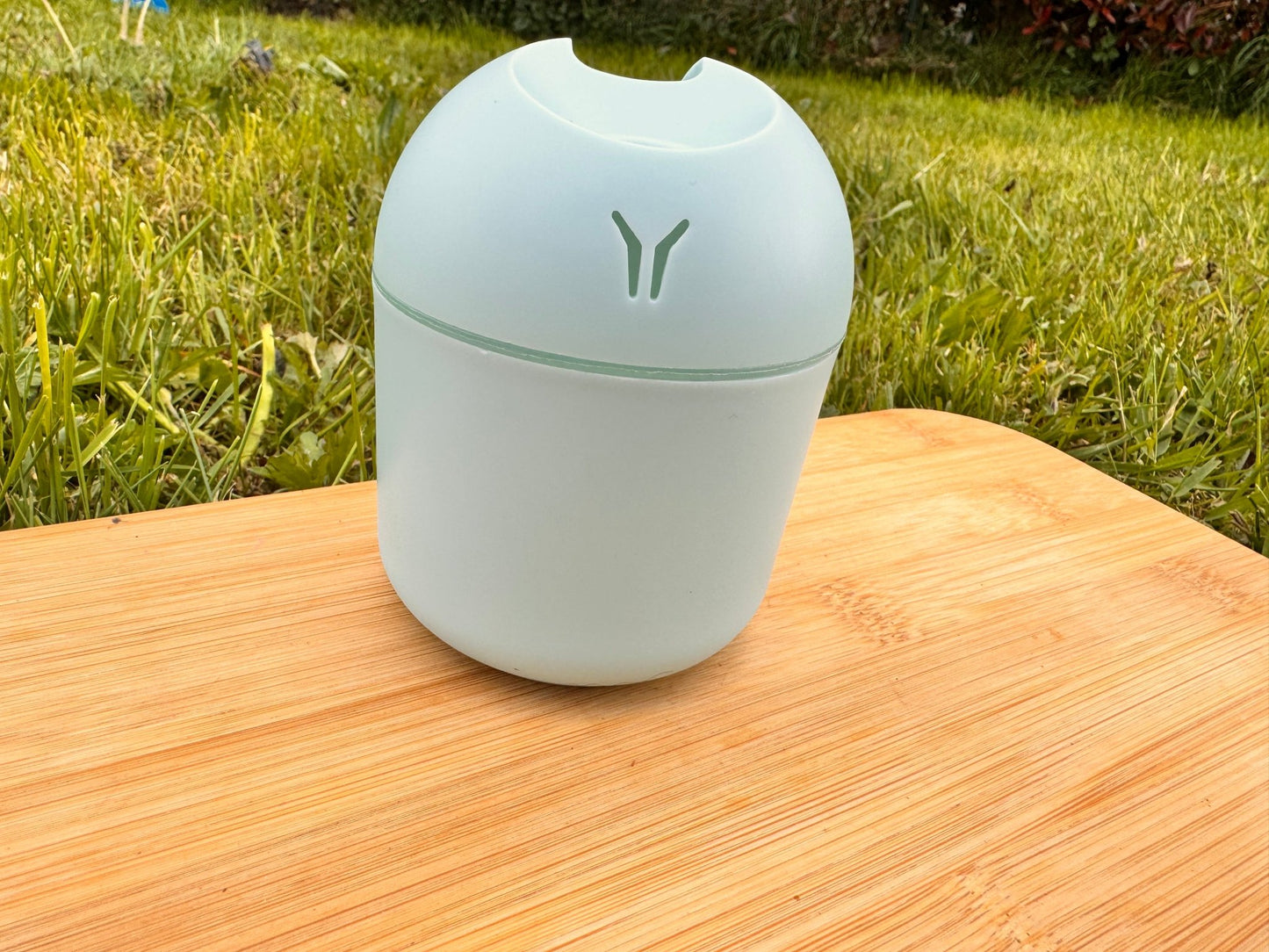Bye-Bye Allergies Votre alliée contre les allergies printanières