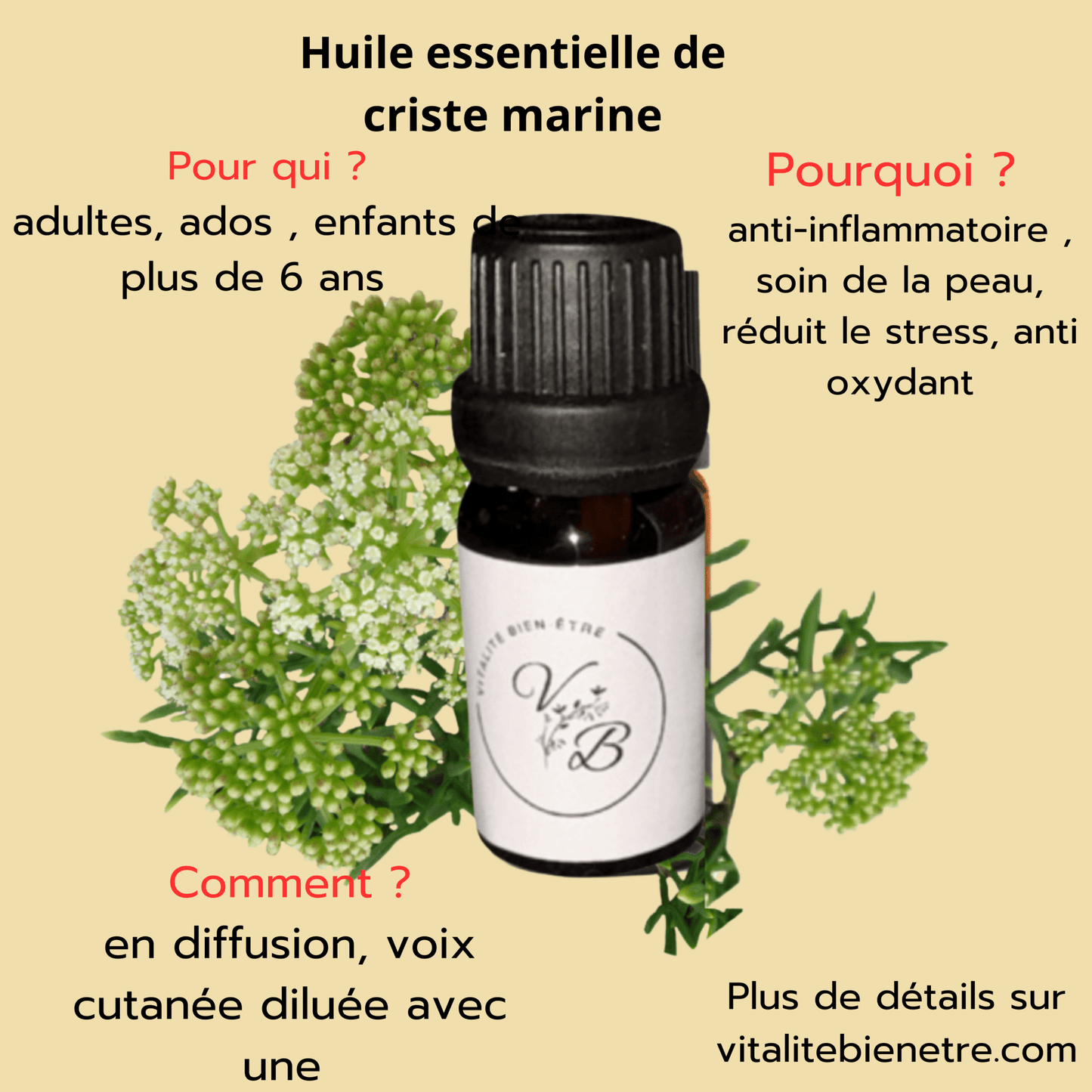 Huile essentielle de Criste Marine – Soin purifiant & tonifiant naturel