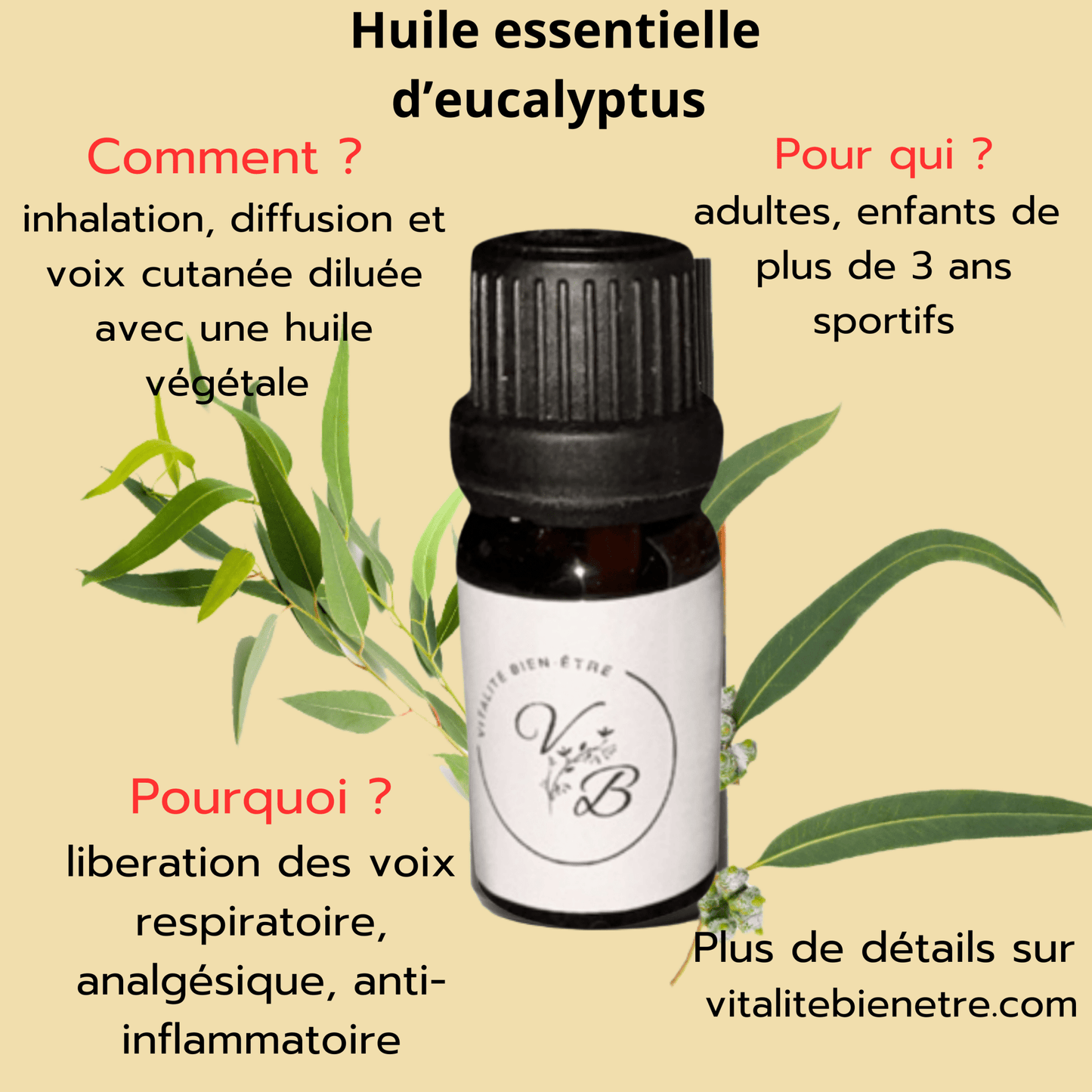 Huile Essentielle d’Eucalyptus | Décongestionnant Naturel & Respiration