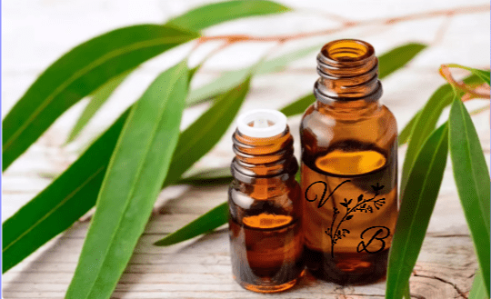 Huile Essentielle d’Eucalyptus | Décongestionnant Naturel & Respiration