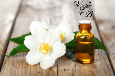Huile essentielle (essence) de Jasmin