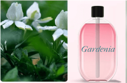 Recharge Parfum