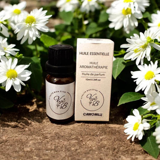 Huile essentielle de Camomille – Calmante, Apaisante & Relaxante