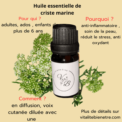 Huile essentielle de Criste Marine – Soin purifiant & tonifiant naturel