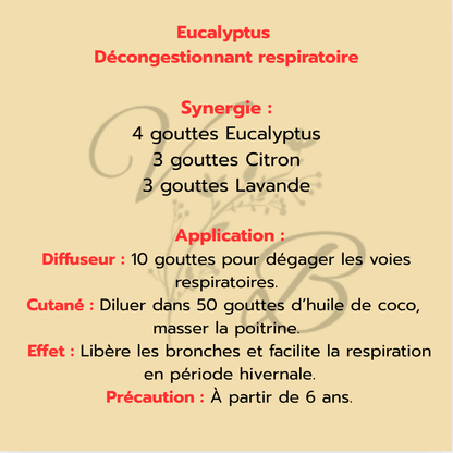 Huile Essentielle d’Eucalyptus | Décongestionnant Naturel & Respiration